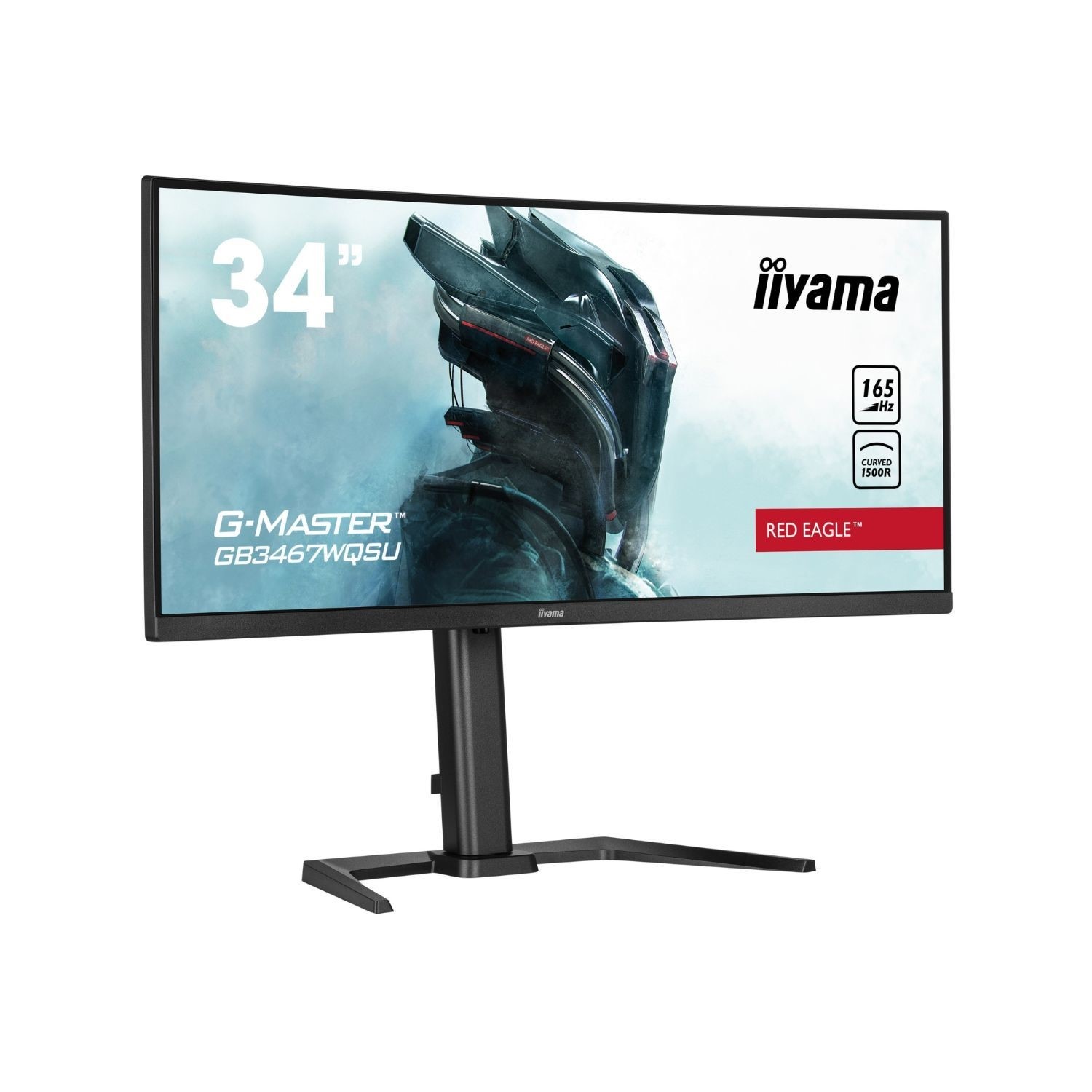 Gaming Monitors